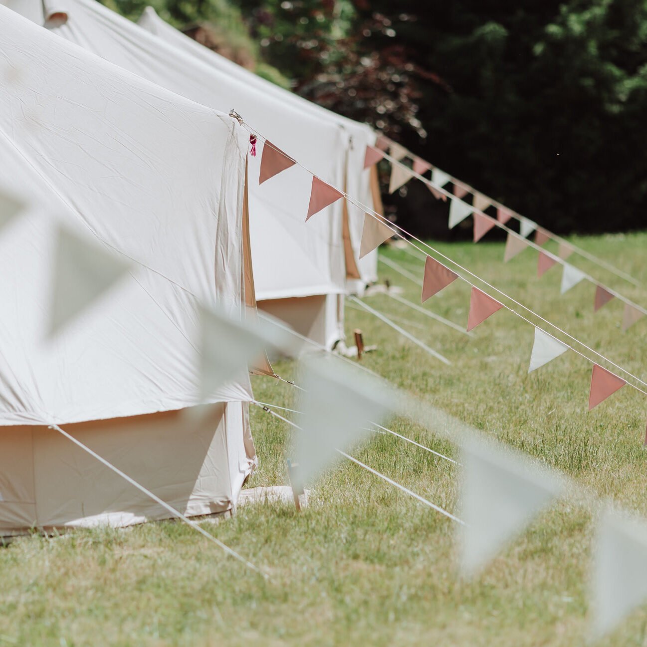 339900528_242942358189923_3795796075222379652_n